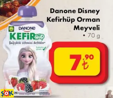 DANONE DİSNEY KEFİRHÜP ORMAN MEYVELİ DANONE DİSNEY KEFİRHÜP ORMAN MEYVELİ
